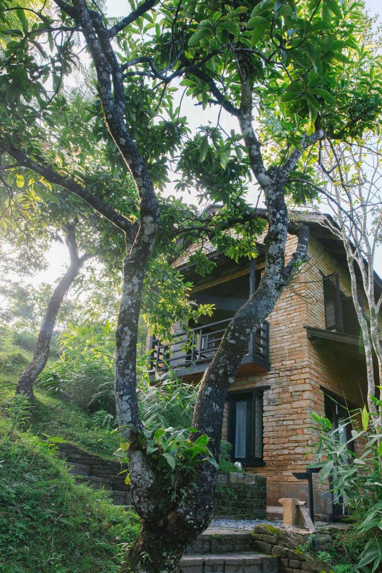 Tiger Mountain Pokhara Lodge Kültér fotó